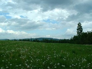 Cultivate Crops, Raising Critters On A Maine Farm
