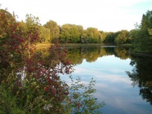 Maine Rivers And Lakes Provide Constant Receational Enjoyment Maine Rivers To Canoe, Kayak Can Be Like Glass Smooth In The Early Morning Hours.