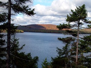 Maine Lakes, Waterfront Properties Do Not Like Lawns, Weed And Feed. Arsenic Treated Decks, Soil Erosions, Not Situations Maine Lakes Enjoy, Are Happy About.