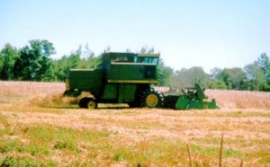 Maine Oat Harvesting, Hurry Scurry While The Sunshines. The Weather Is Everything When Planting, Harvesting A Maine Crop Of Anything. Working With Broken, Ailing Equipment Is Nothing New When Money Is Tight, The Pressure On To Get Crop In.