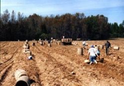 Maine, Working Hard And Wanting The Rental Security Deposit Back. Like Picking Maine Potatoes, Any Money Earned Is Carefully Spent. What Happens To No Returned Maine Rental Security Deposits?