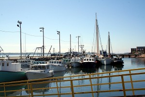 Parked Shoulder To Shoulder, Bumper To Bumper In A Safe Maine Harbor. Hate To Be The Guy On The Inside Of The Harbor Boat Cluster In A Hurry To Get Out.