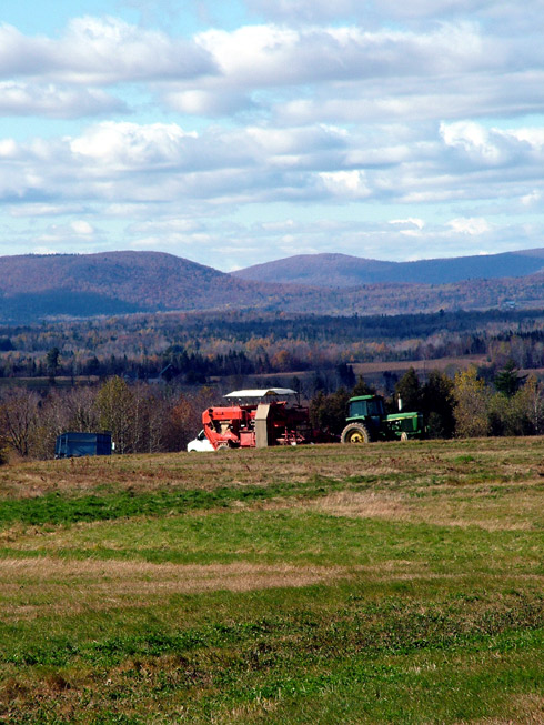 Working On The Maine Potato Harvest Teaches Kids Work Ethic.
