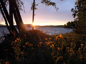 Maine Sunset, This Is Our HBO, Pay Per View.