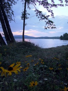 Maine Lakefront Property, Real Estate Is Fun!