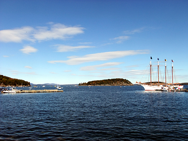Vacation In Maine, Bring Your Horse. Horse Drawn Carriage Rides In Acadia National Park Maine
