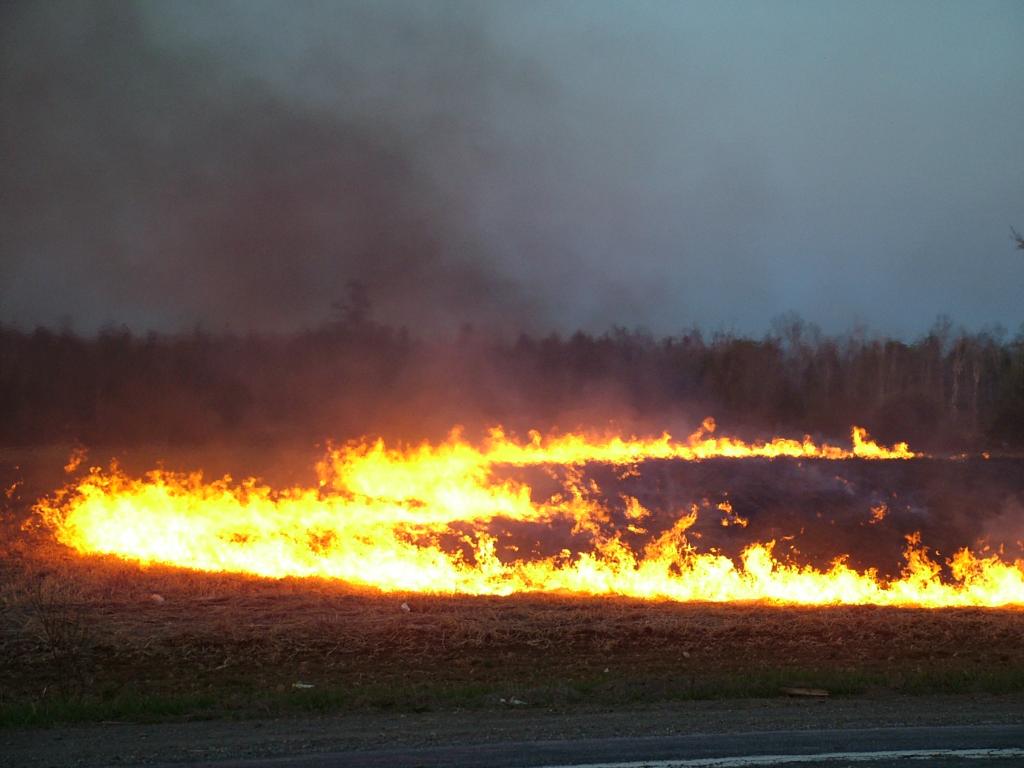 MeInMaine Blog » Maine 91 Wooded, Burning Firewood Nothing New.