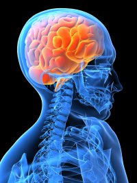 The Brain Of A Maine REALTOR Always Thinking About Buying, Selling Maine Real Estate