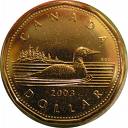 Canadian Loonies Or US Dollars, See Lots Of Both In A Border Town Exchanging Loonies Or Dollars A Busy Activity In A US - Canadian Border Town.