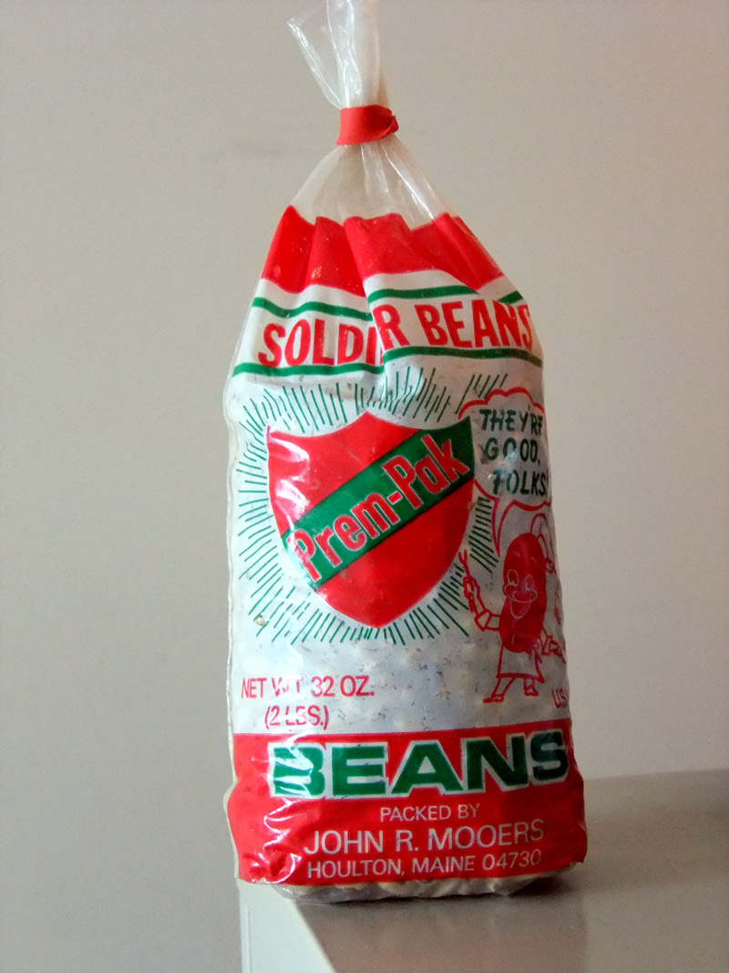 MeInMaine Blog » Finding Beans, Digging Out Of Aunt Molly’s Maine Farm