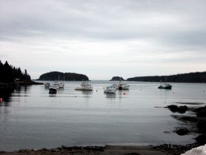 Maine Harbor Scene In Cutler ME