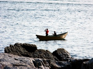 Looking For Life Answers? Find Them In Maine.