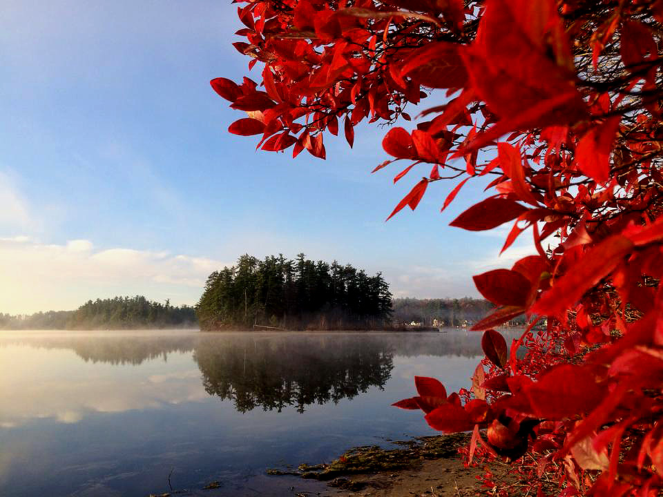 MeInMaine Blog » Spring In Maine, A Time Of Rebirth, Hope, To Plant Again.
