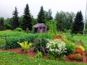 Maine Gardens