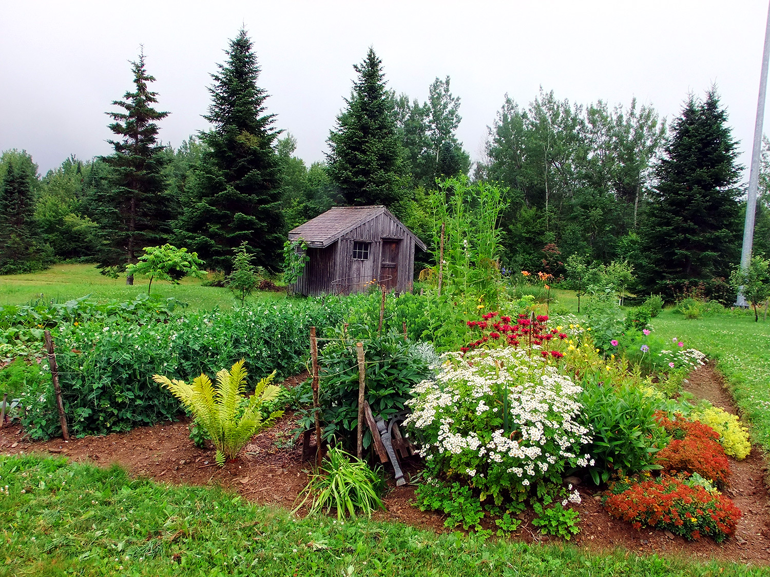 MeInMaine Blog » Let There Be Light… Solar Heat, Power For Maine Homes.
