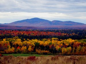 Maine Outdoor Land Views