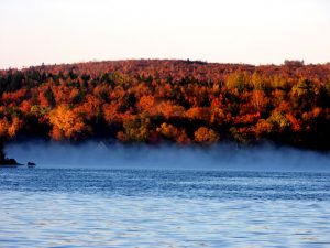 maine water fall autumn leaf colors