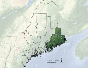Downeast Maine