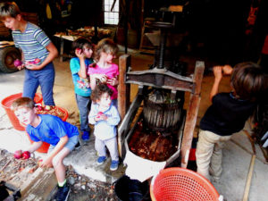 maine apple cide pressing