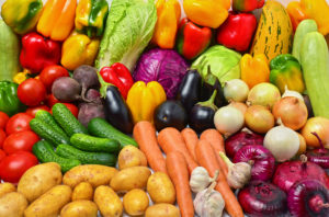vegetable gardens in maine