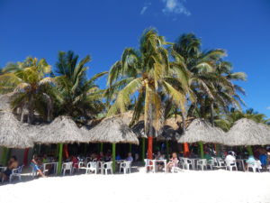 carribean island tiki house